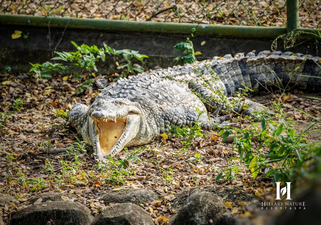 Hillary Nature Resort&Spa - Все включено Arenillas Экстерьер фото